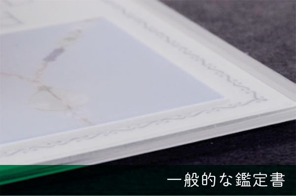 一般的な鑑定書